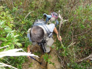 やんばるの山中にて