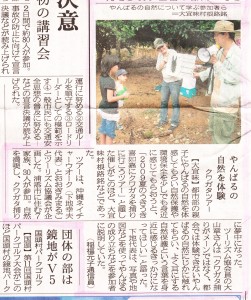 クワガタ採集ツアー