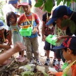 クワガタの生息ポイントで説明を聞かずに（？）既に虫かごの蓋をあけて待っている子どもたち
