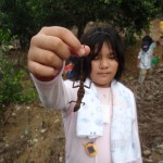 オキナワキノボリトカゲもいたよ