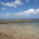 晴天に映える浦添市西海岸。岸に沿って流れがあり、透明度の高い海になっている。