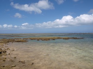 晴天に映える浦添市西海岸。岸に沿って流れがあり、透明度の高い海になっている。