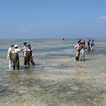 埋め立て工法の見直しの可能性を見極めるため国と市による再調査が行われた。