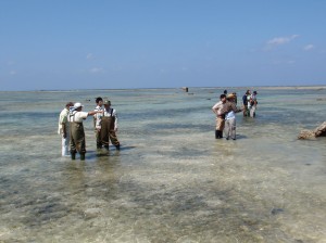 埋め立て工法の見直しの可能性を見極めるため国と市による再調査が行われた。