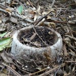 pet food bowl for left dog in forest of yambaru