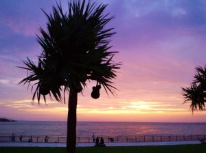 いつも散歩でくる公園。たまに美しい光景に出くわすとホッとする。