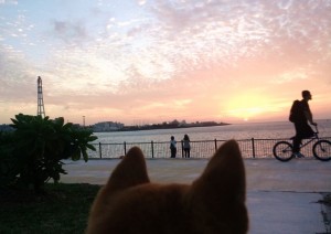 宜野湾マリーナ公園の夕焼け。とても気持ちのいい時間でした。