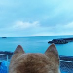 雲の動きが早くなった。でも海は穏やか。何とも不思議な光景