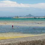 台風4号が残した風が少々強いが、空は太平洋高気圧に覆われている。