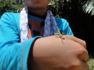 konchu tour 楽しかった、昆虫観察ツアー