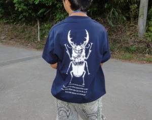 kuwagata tour 夏休み親子クワガタ採集体験ツアー