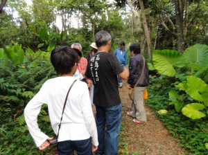 yambarukuina tour ヤンバルクイナ観察ツアー