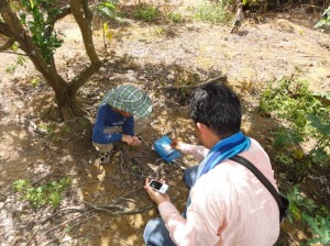 kuwagata tour 夏休み親子クワガタ採集体験ツアー