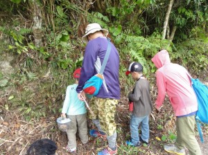 kuwagata tour 夏休み親子クワガタ採集体験ツアー