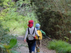 yambaru tour やんばるの森が“3時間で分かる”やんばるの森遊歩ツアー