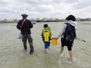 浦添西海岸 那覇近くでできる海の生き物観察ツアー