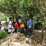 クワガタに群がる子どもたち