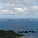 日本屈指のパワースポット、久高島