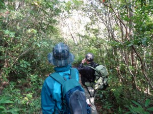 yambaru tour 沖縄本島の“最高峰をめざす”やんばるの森遊歩ツアー