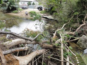 平南川 平南川、ター滝への行く手を阻む倒木。
