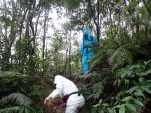 yambaru tour 沖縄本島の“最高峰をめざす”やんばるの森遊歩ツアー