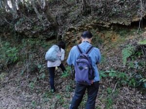 yambaru ヤンバルの森遊歩ツアー