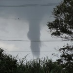 渦を巻きながら伸びたり縮んだりしていた。