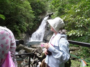 沖縄ネイチャーウォーク やんばるの“自然を身近に感じる”比地大滝ツアー