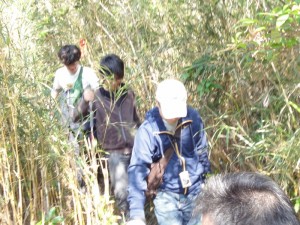 yambaru tour やんばるの森の中を散策(沖縄自然ツーリスト)