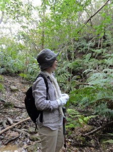 yambaru tour 瑞々しい季節の到来を告げたやんばるの森(オリジナル・リクエスト・ネイチャーウォーク・ツアー:沖縄自然ツーリスト)