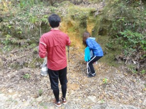 yambaru tour ハブに遭遇!!(やんばるの森遊歩ツアー:沖縄自然ツーリスト)