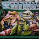 泡瀬のイユ市場。色とりどりの魚が見られる。