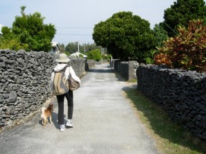 石垣がみんなサンゴでできているね。