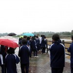 あいにくの雨でマングローブ林散策不調。橋の上で説明。