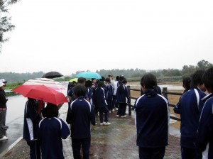 あいにくの雨でマングローブ林散策不調。橋の上で説明。