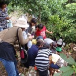 クワガタの採り方を伝授中「いたぞぉー」