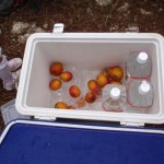 ヒンヤリ冷えたマンゴーは超美味!!