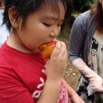 マンゴーにかぶりつきだ「もぐもぐ、うまいぃ！」