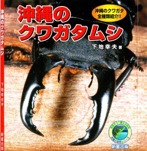 沖縄のクワガタムシ 沖縄のクワガタムシ