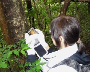 やんばるの森の中 亜熱帯の森は刺激的!