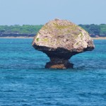 きのこ岩 きのこ岩