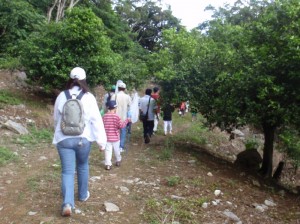 大宜味村の山の中