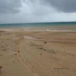 青い海が赤土の流入によって赤く染まってしまった。このような海には生き物の姿はない。